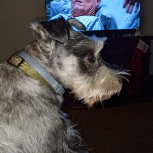 Meet your Posher, Stephan